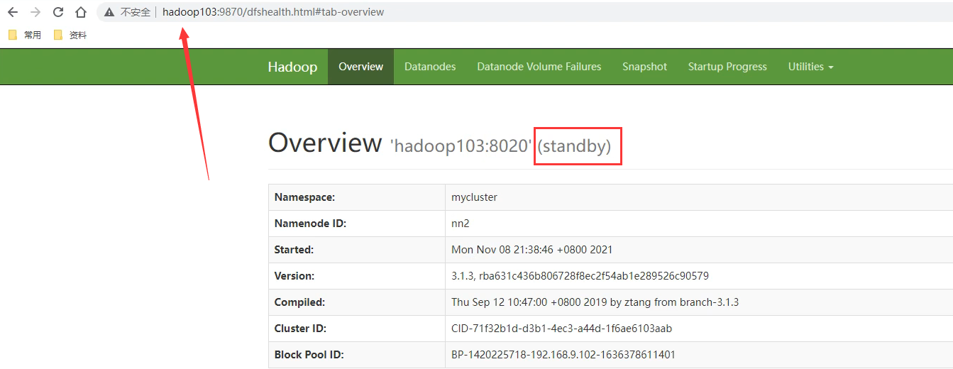 image-20220205212740040