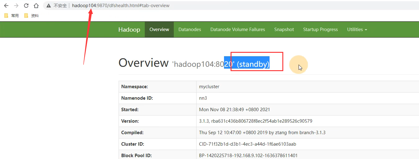 image-20220205213001135