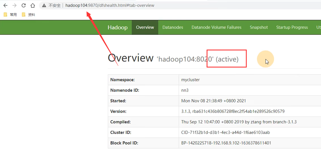 image-20220205213317098