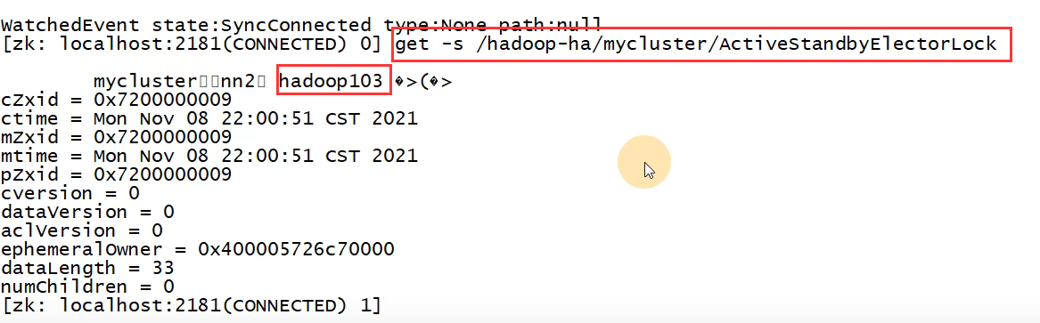 image-20220205214528357