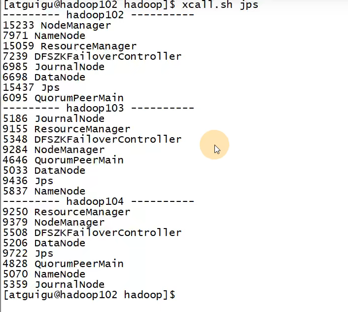 image-20220205215947962