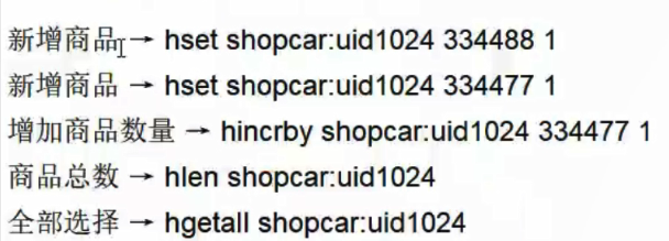 image-20220217212625823