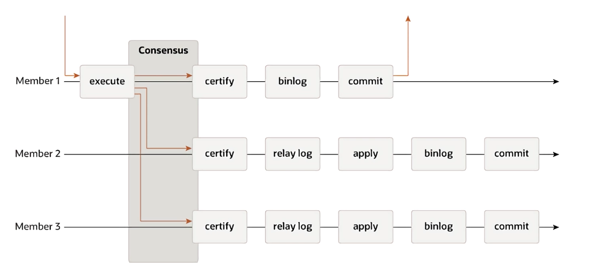 image-20220329202349768