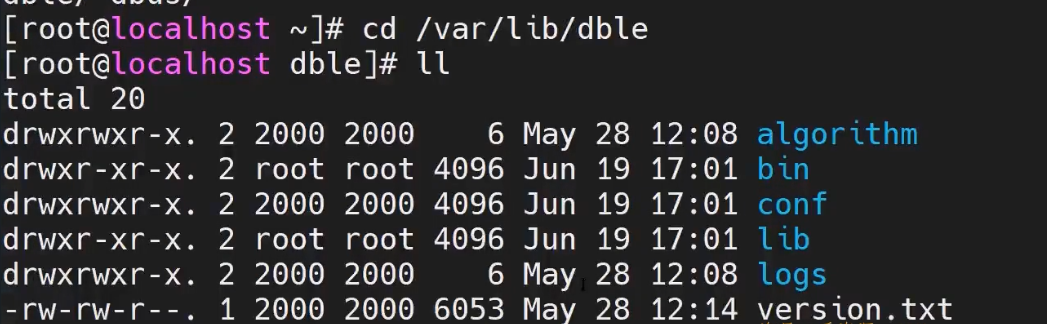 image-20220330064912218