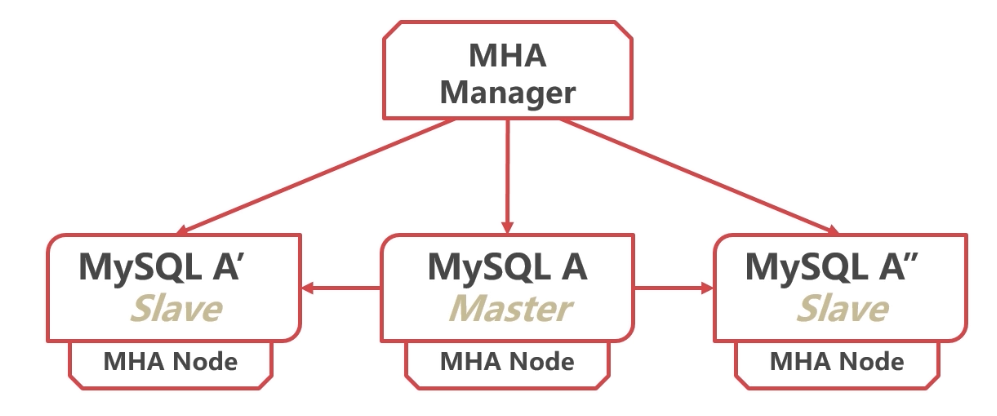 image-20220330081317620