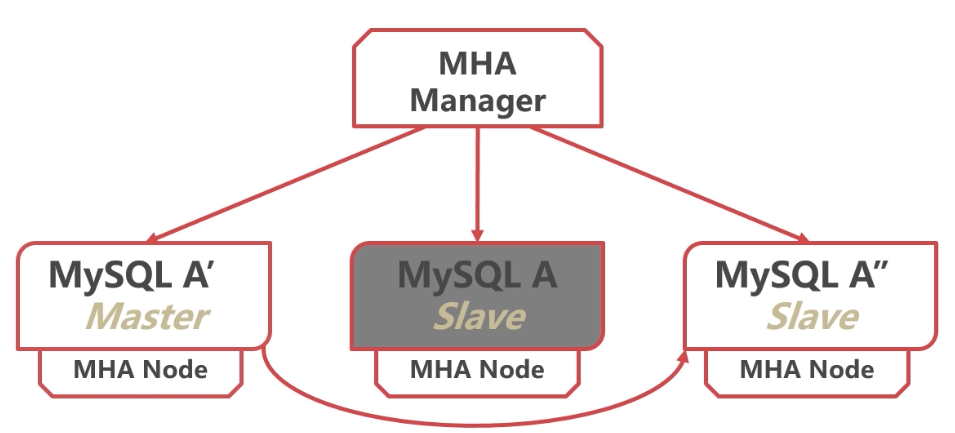 image-20220330081932908