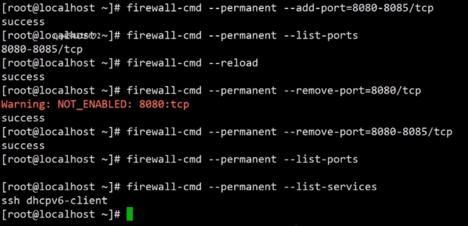 image-20201216143249424