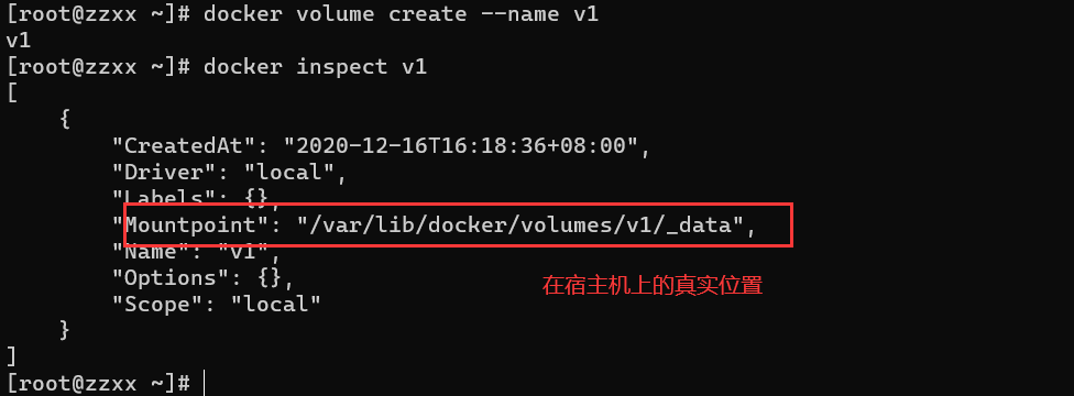 image-20201216161909334