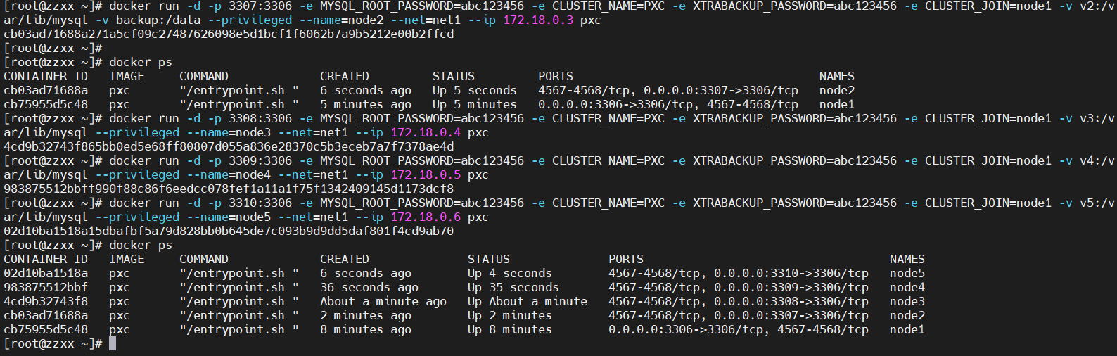 image-20201216175831263