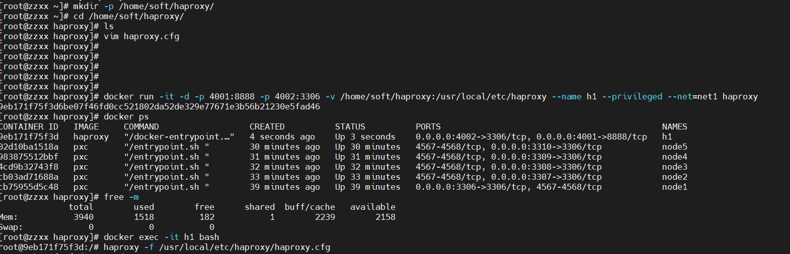 image-20201216184722575