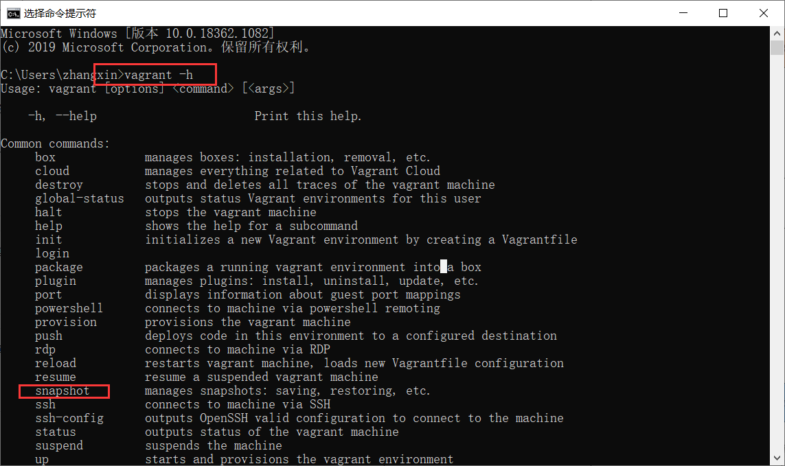 image-20201007210057363